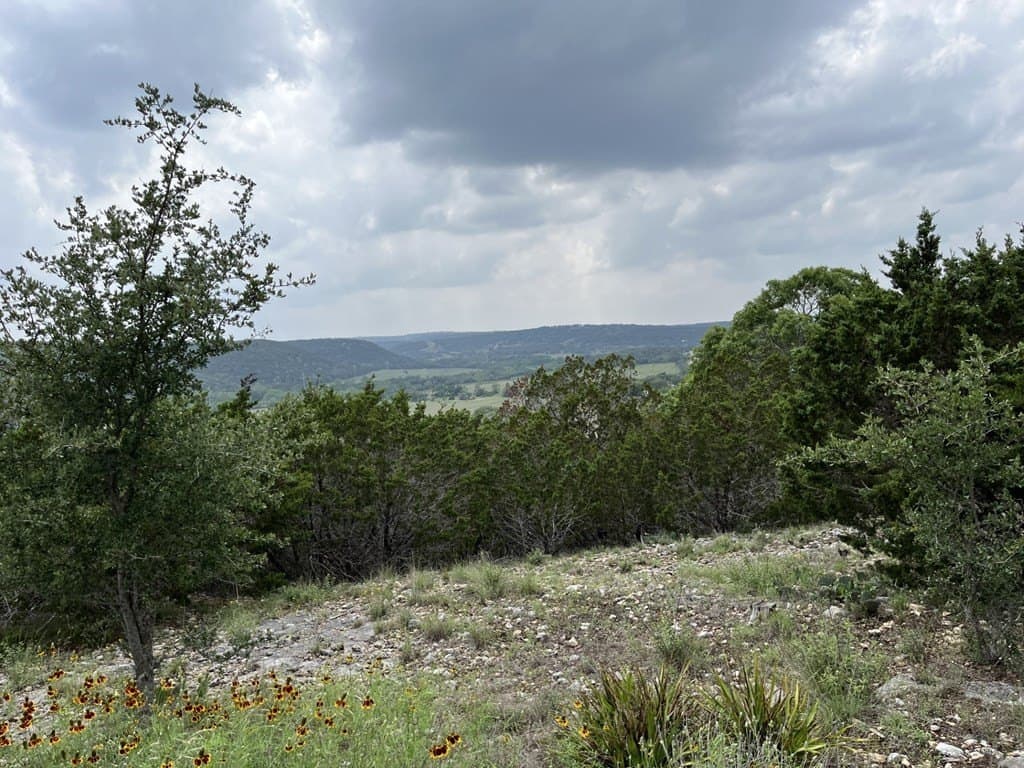 23.44 acres in Kerr County gallery image 2