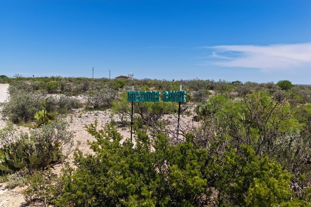126 acres in Terrell County - photo 20