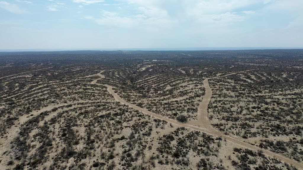 126 acres in Terrell County - photo 15