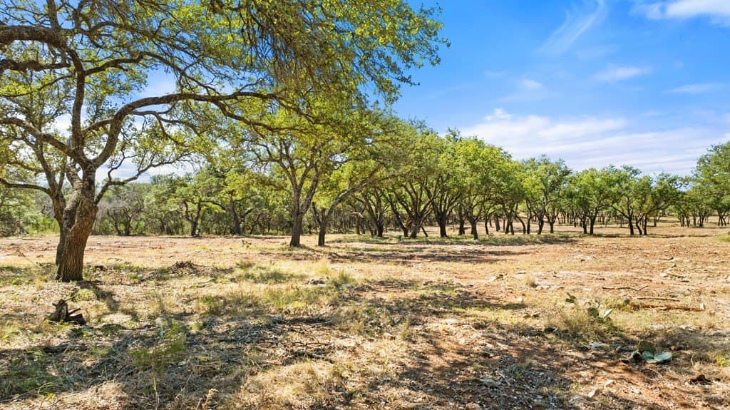 10 acres in Blanco County gallery image 3