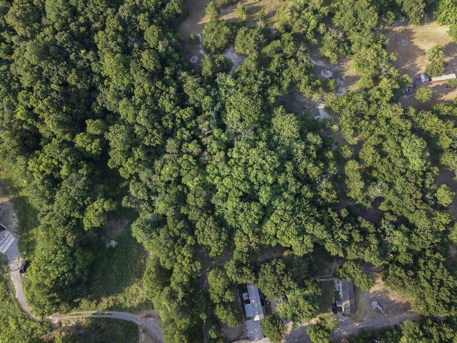 3.67 acres in Collin County - photo 15