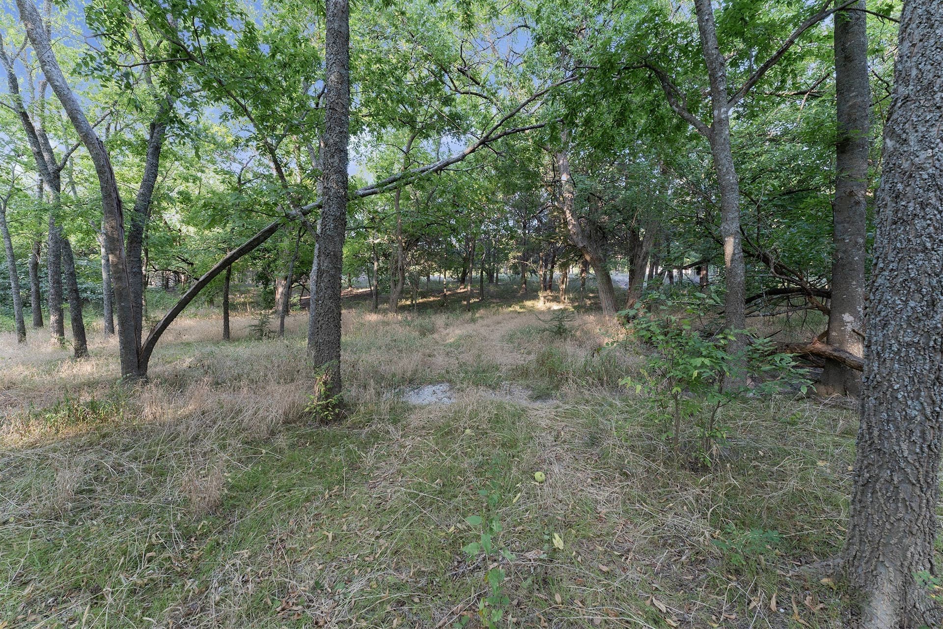 3.67 acres in Collin County - photo 6