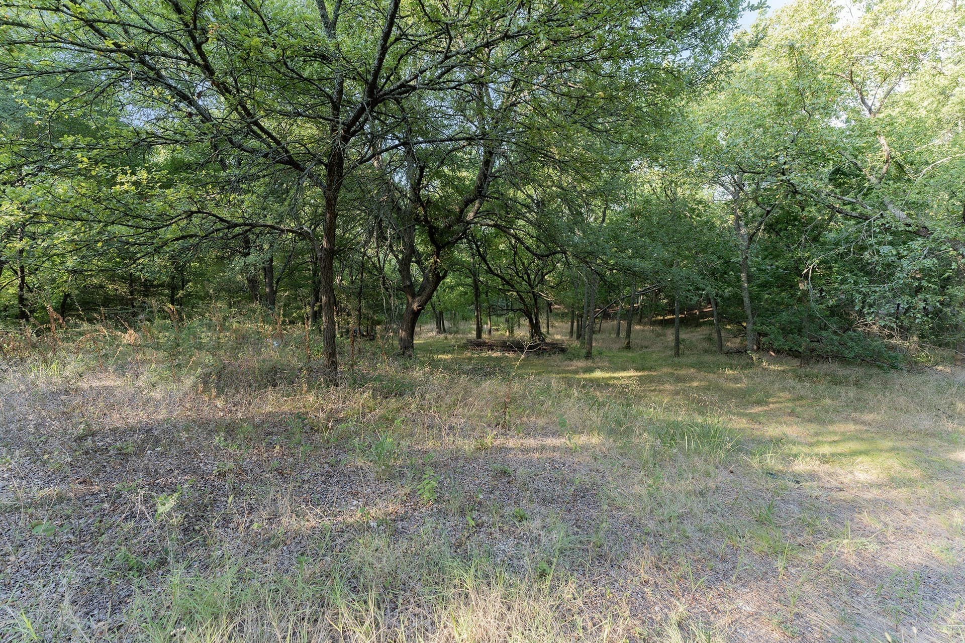 3.67 acres in Collin County - photo 4