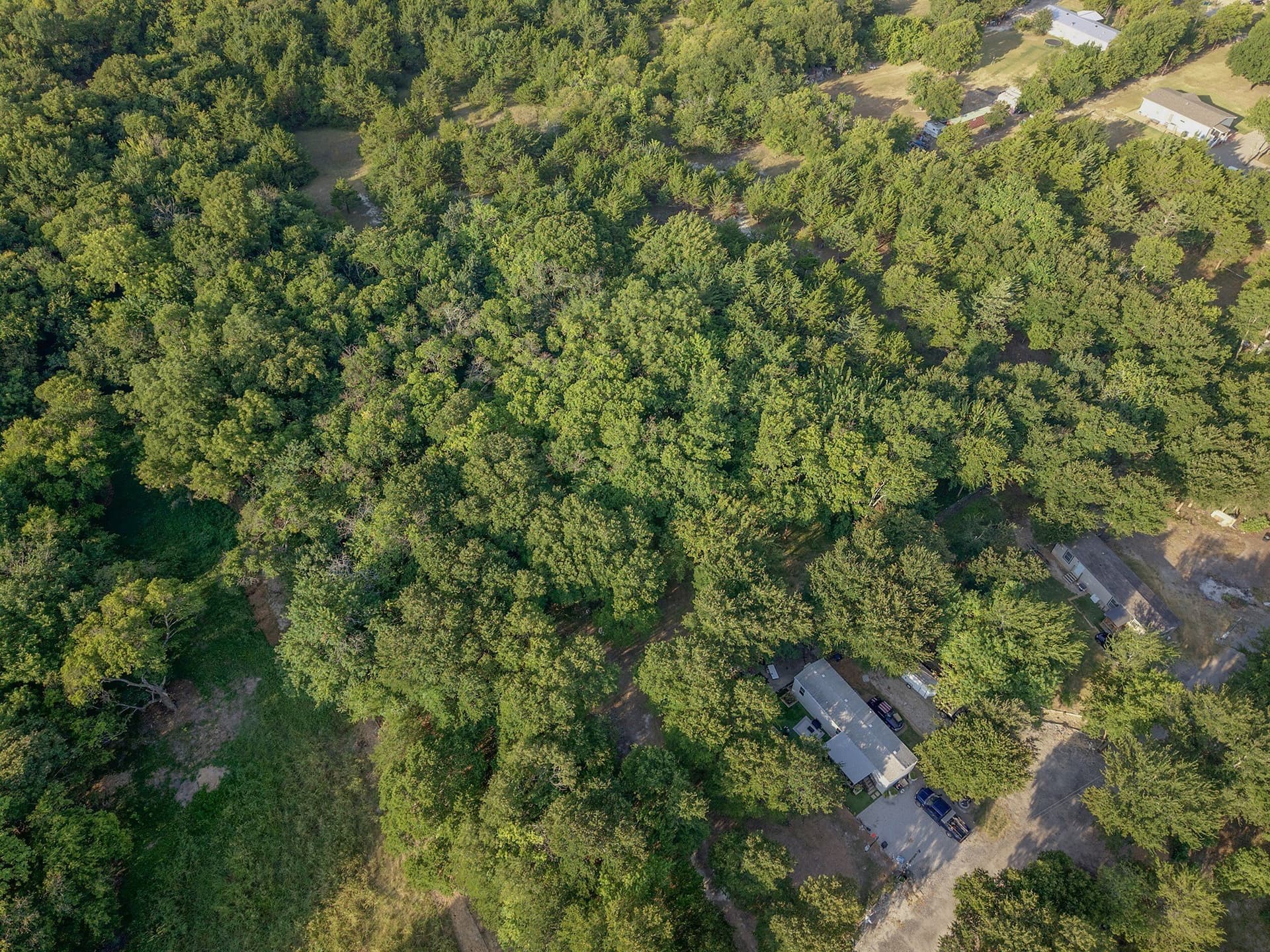 3.67 acres in Collin County - photo 13