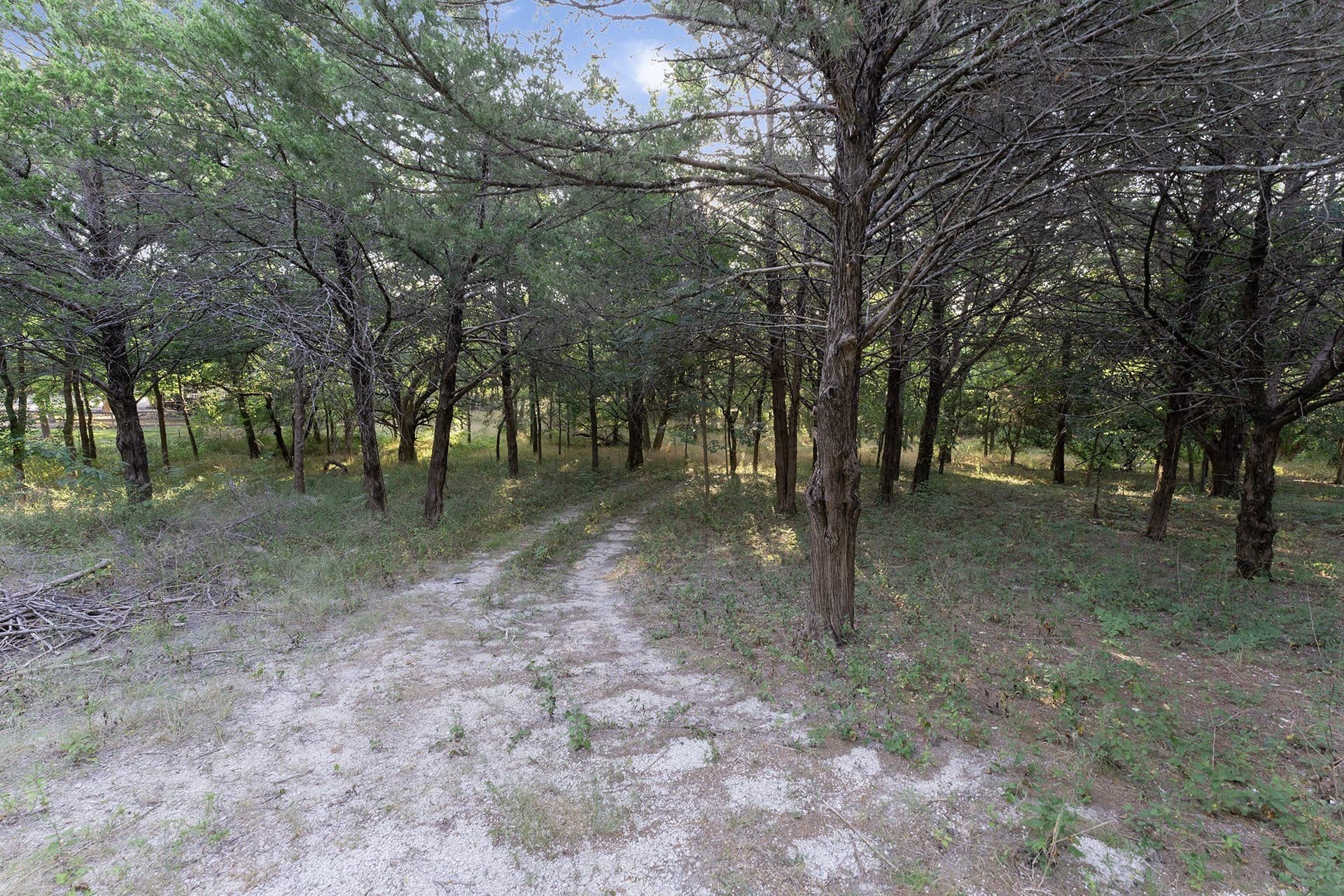 3.67 acres in Collin County - photo 5