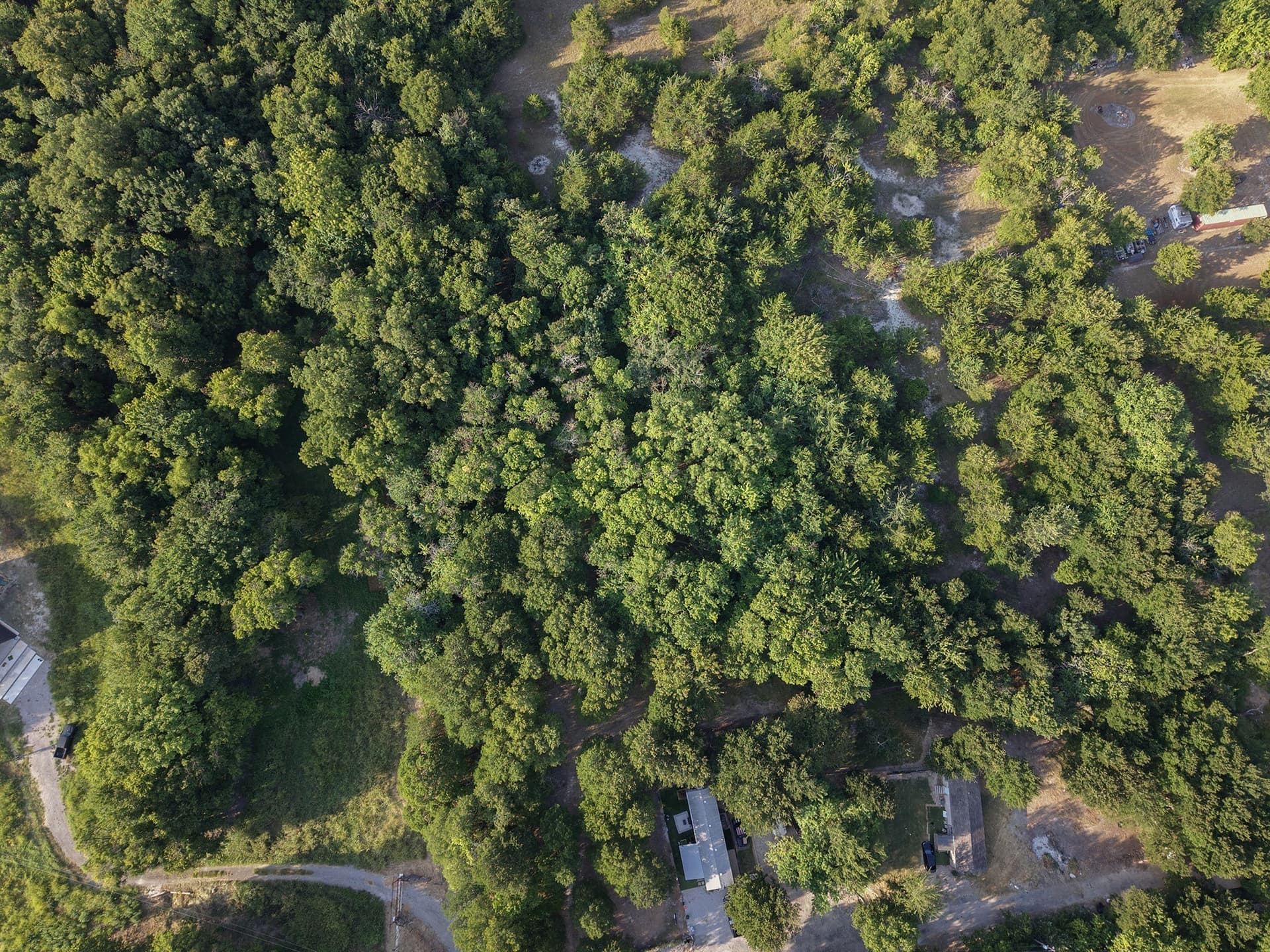 3.67 acres in Collin County - photo 14