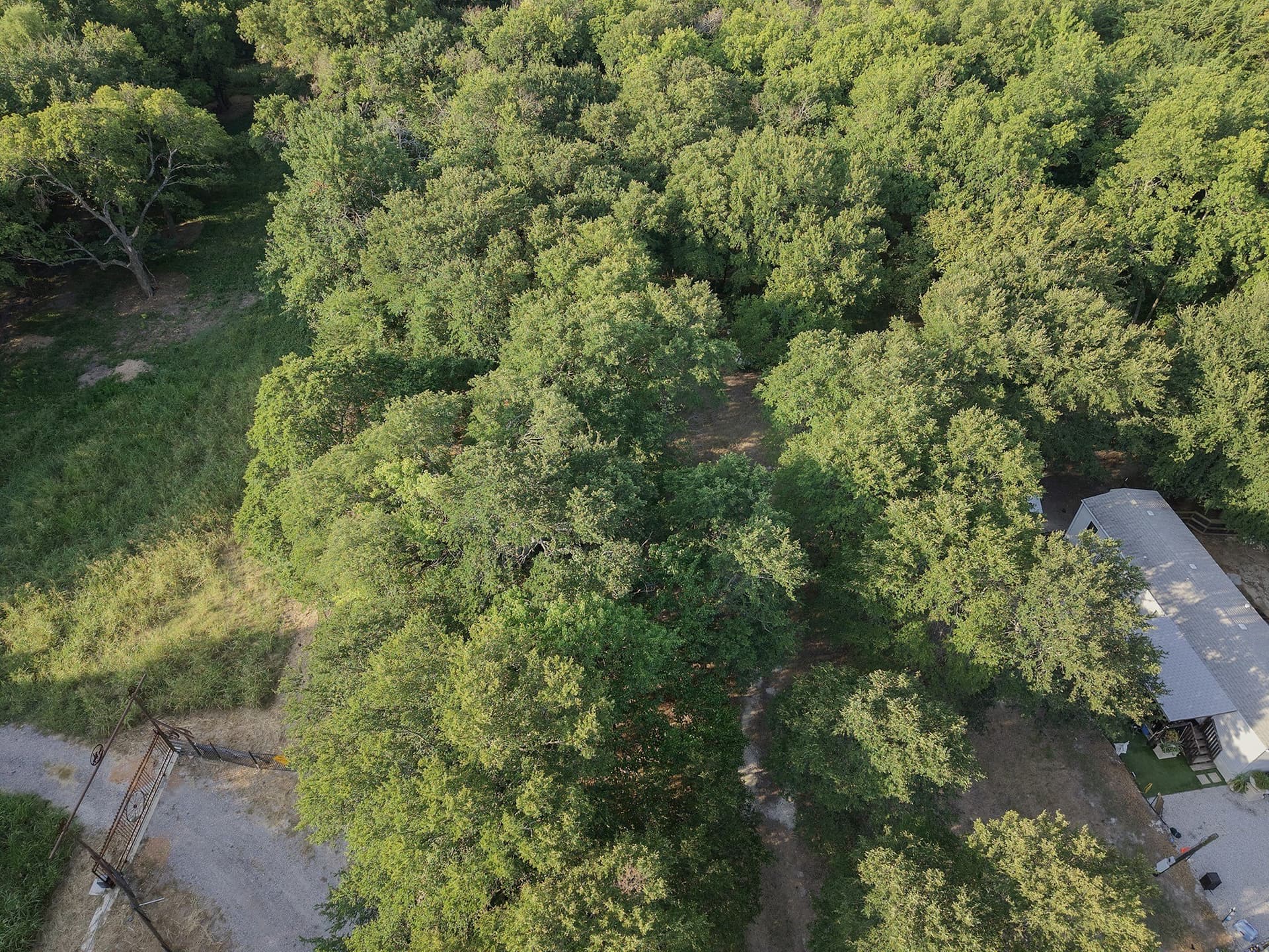 3.67 acres in Collin County - photo 12