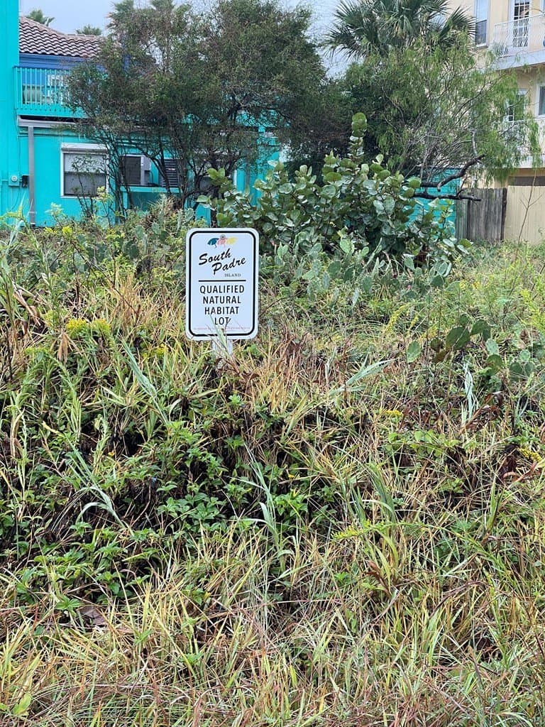 0.23 acres in Cameron County - photo 3