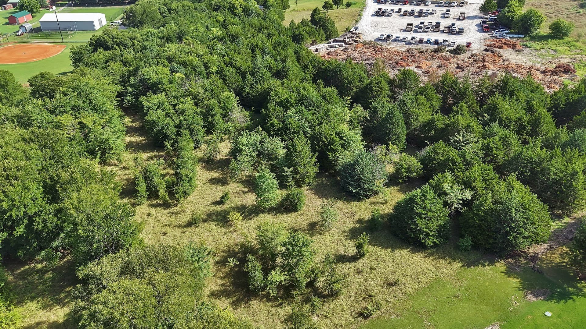 5 acres in Collin County - photo 7