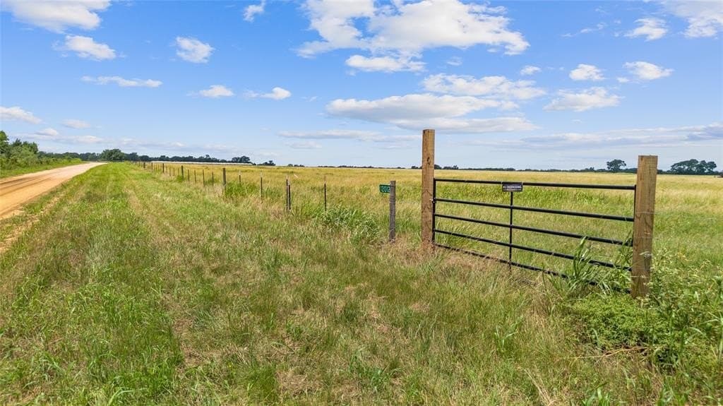 12.54 acres in Burleson County gallery image 3