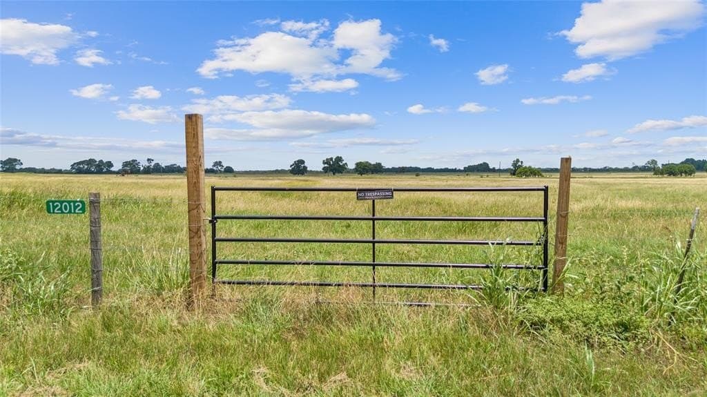 12.54 acres in Burleson County gallery image 2