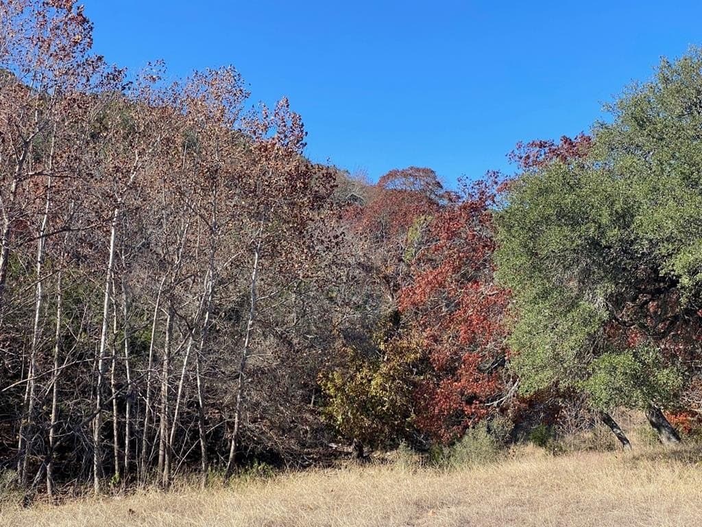 4.34 acres in Gillespie County