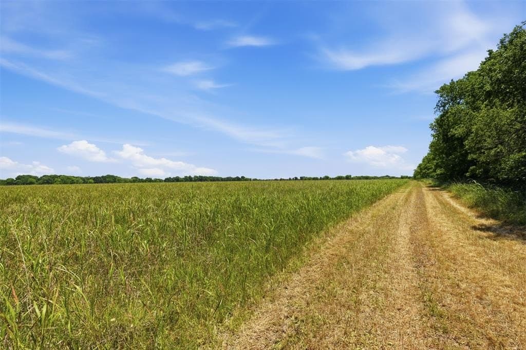 27.09 acres in Johnson County featured view