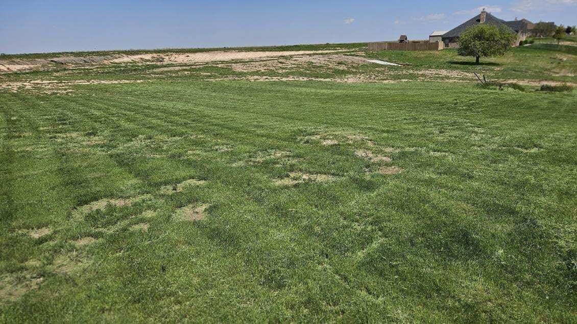 0 acres in Randall County gallery image 2