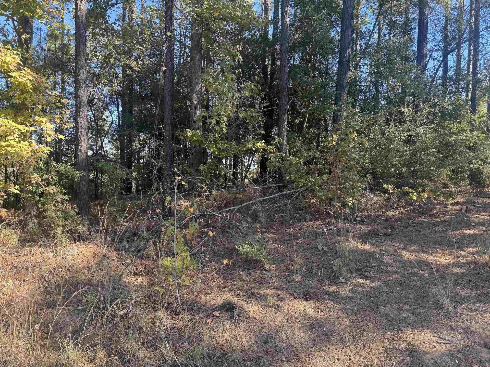 1.06 acres in Texas County gallery image 3