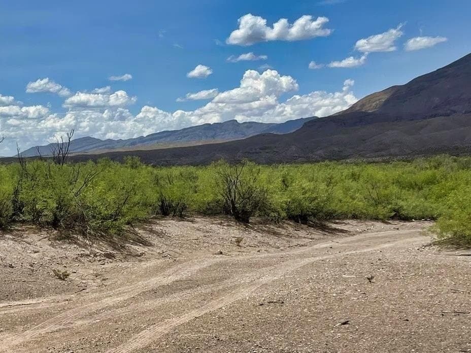320 acres in Presidio County - photo 6