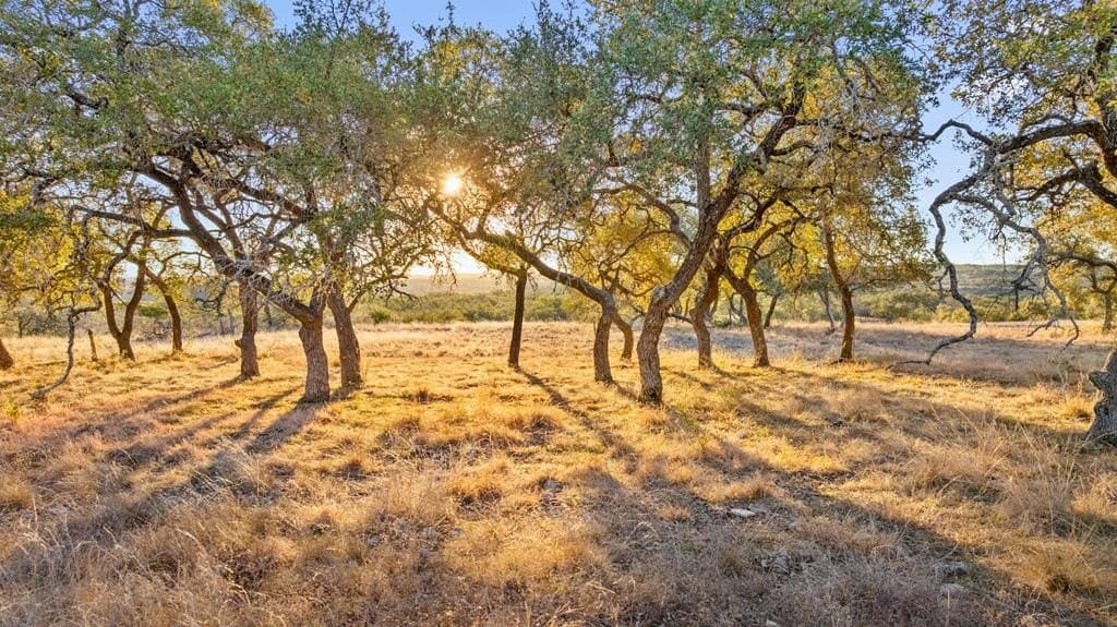 10.01 acres in Blanco County