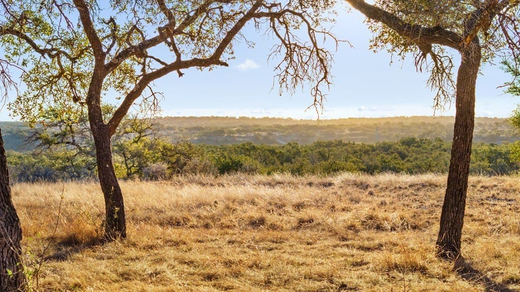10.01 acres in Blanco County - photo 2