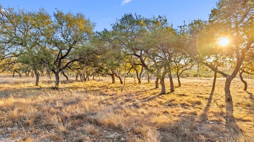 10.01 acres in Blanco County - photo 3