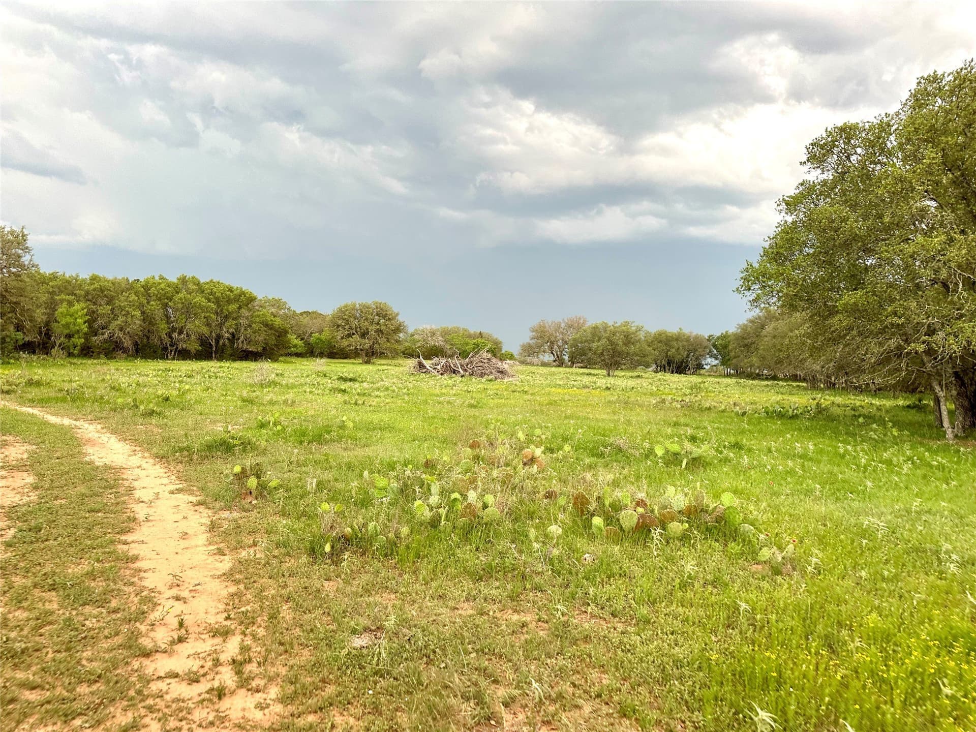 150 acres in Mills County - photo 37