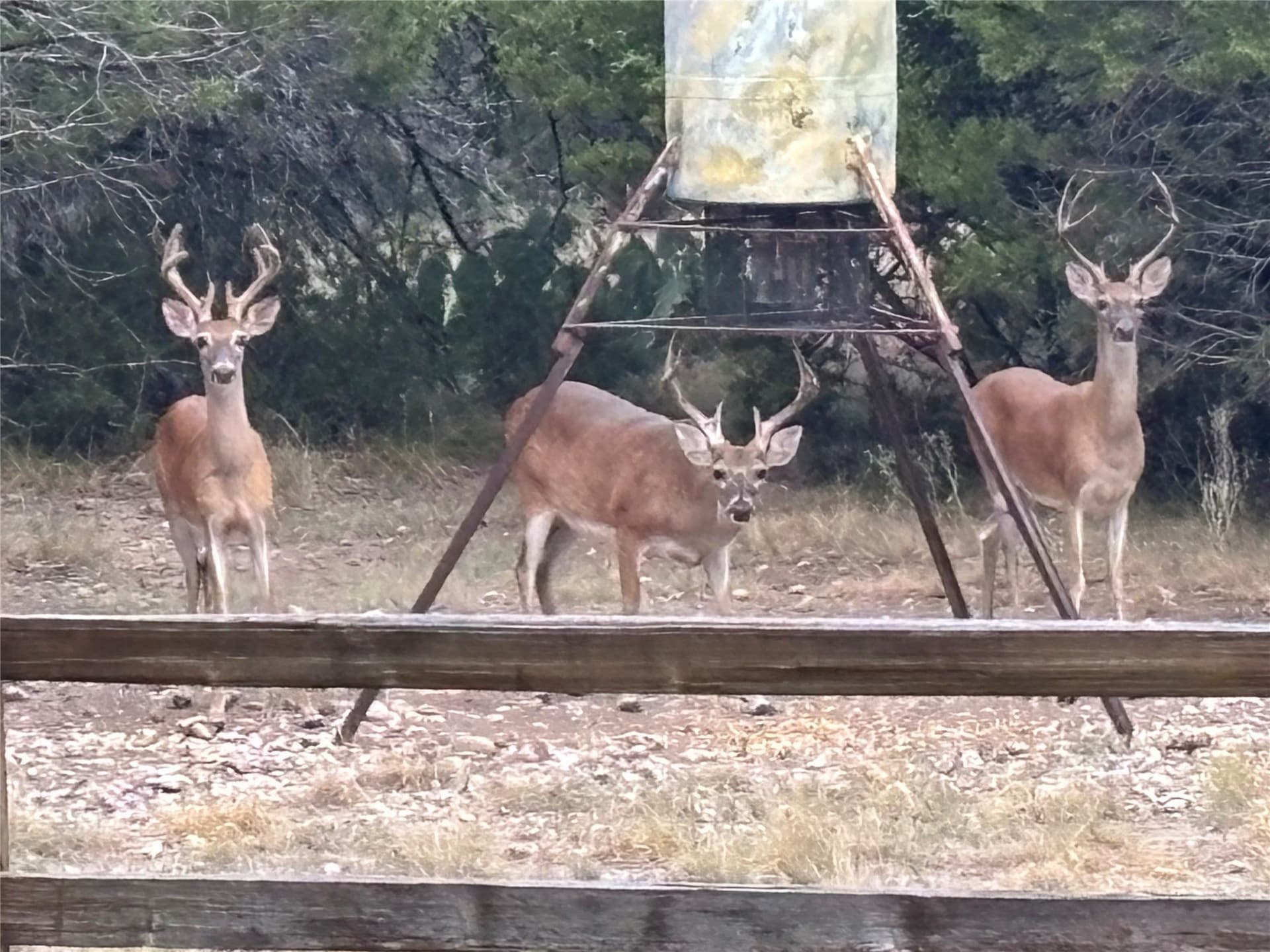 150 acres in Mills County - photo 2