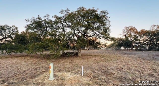 1.06 acres in Comal County gallery image 3