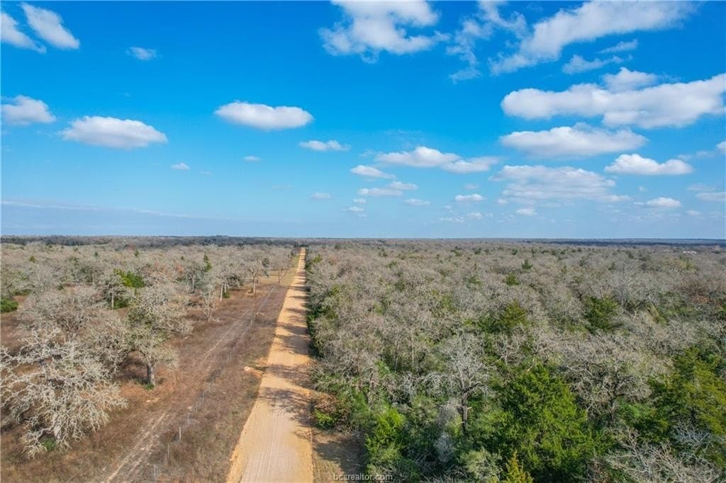 10 acres in Milam County gallery image 3