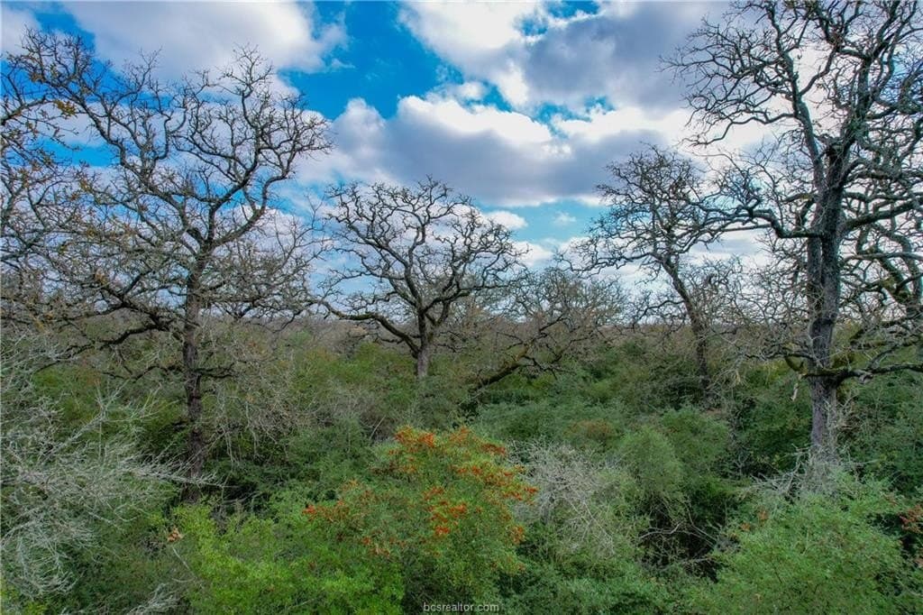 10 acres in Milam County gallery image 4