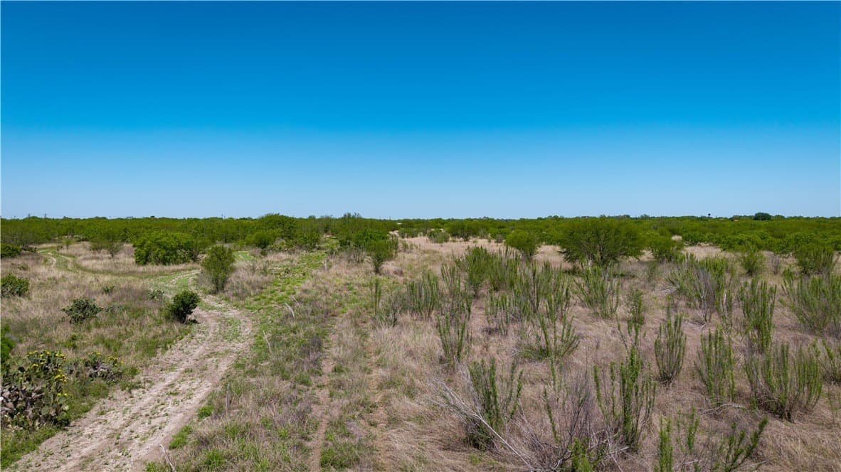 5.02 acres in Jim Wells County - photo 31