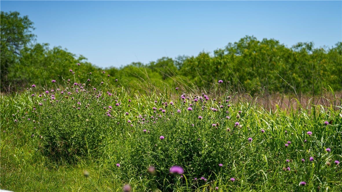 5.02 acres in Jim Wells County - photo 39