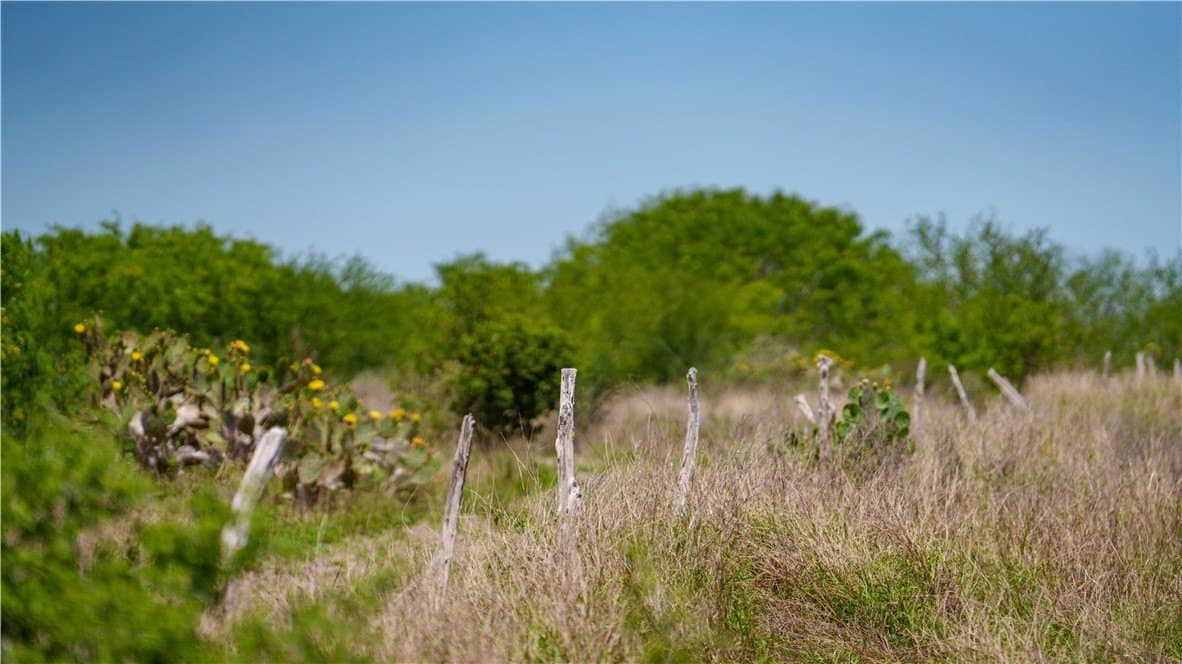 5.02 acres in Jim Wells County - photo 38