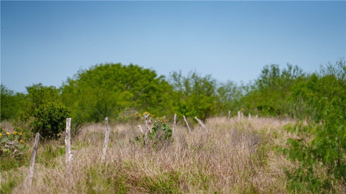 5.02 acres in Jim Wells County - photo 37