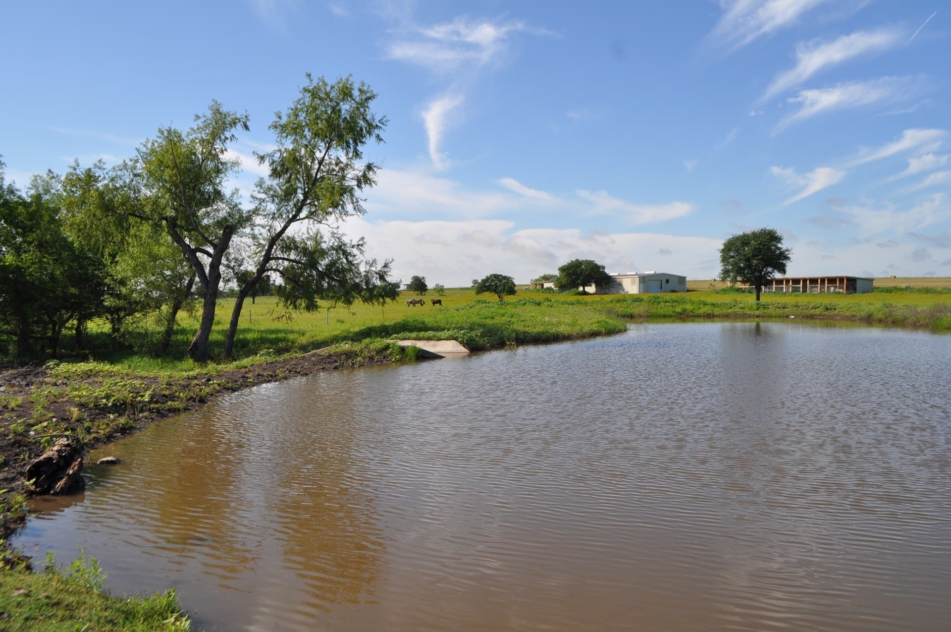 19.41 acres in Ellis County - photo 23