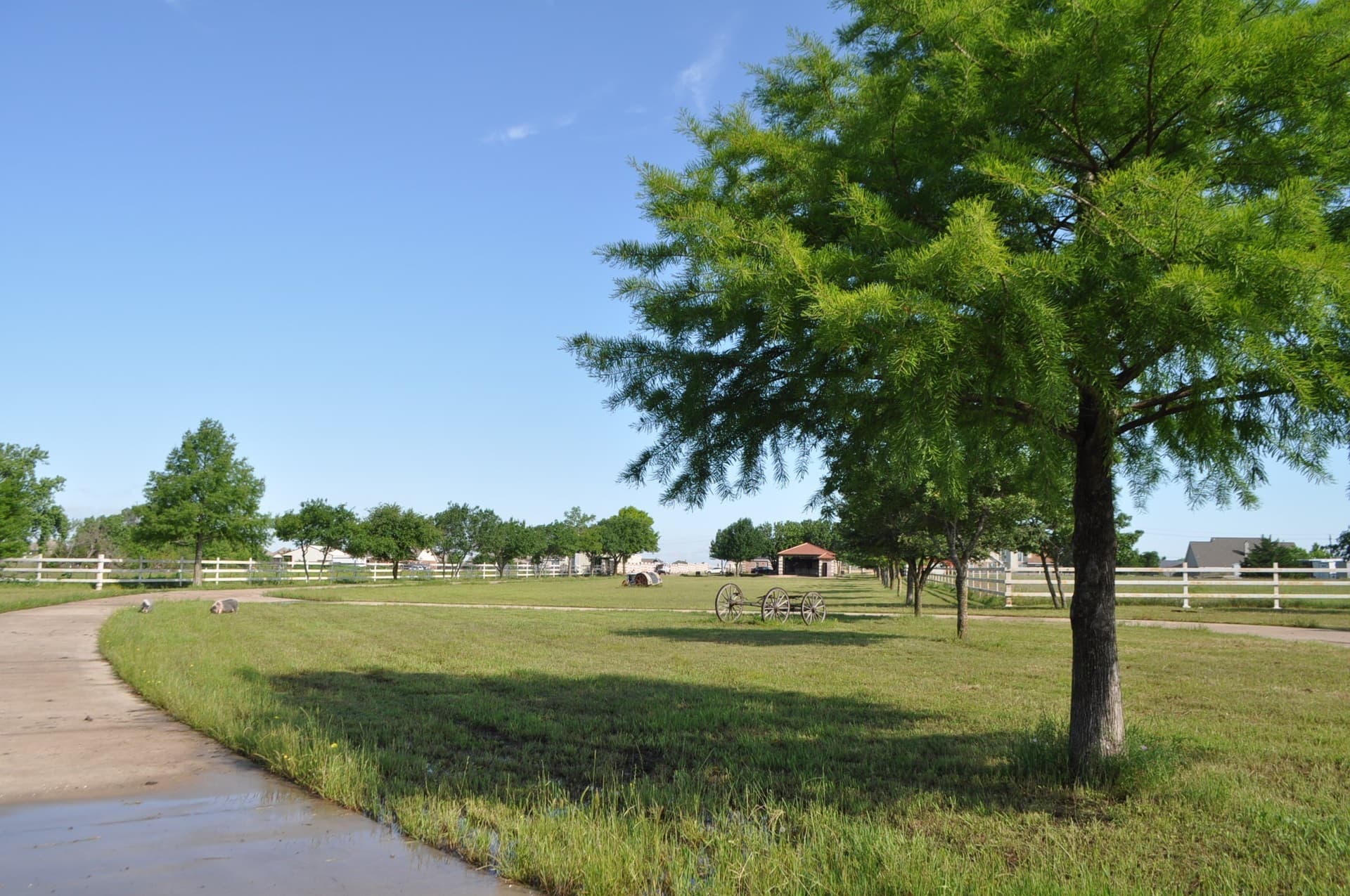 19.41 acres in Ellis County - photo 13