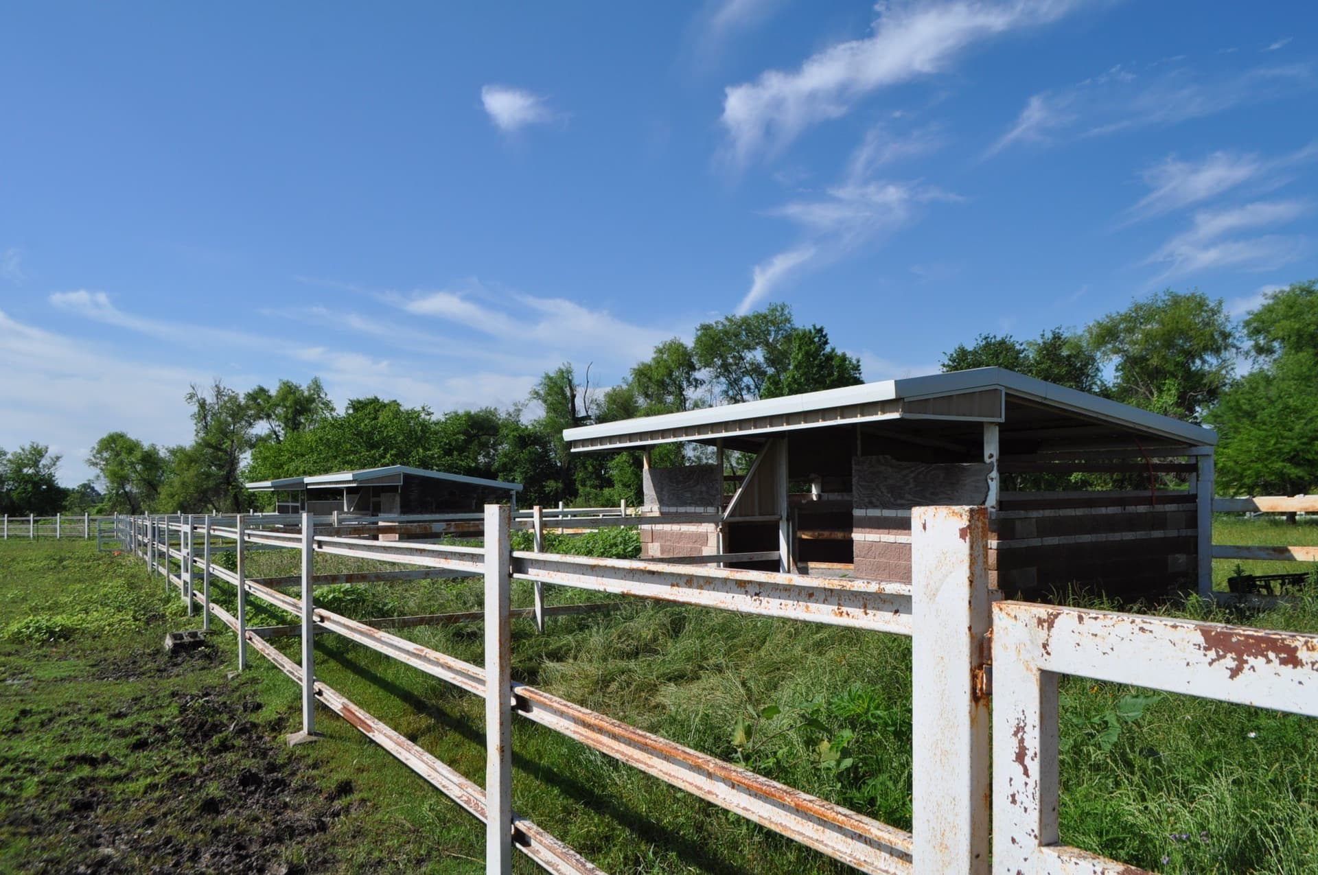 19.41 acres in Ellis County - photo 22