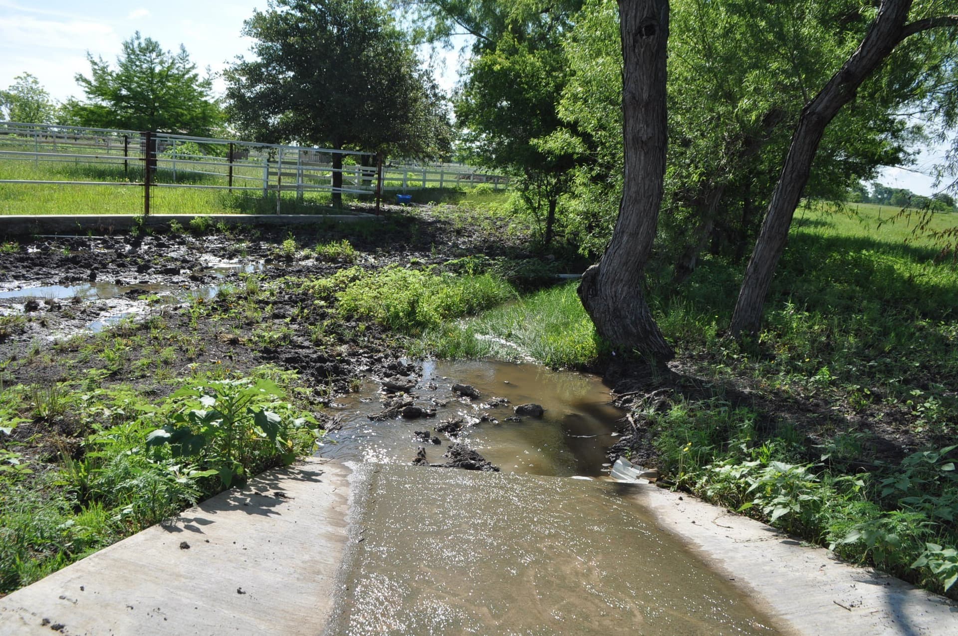 19.41 acres in Ellis County - photo 29