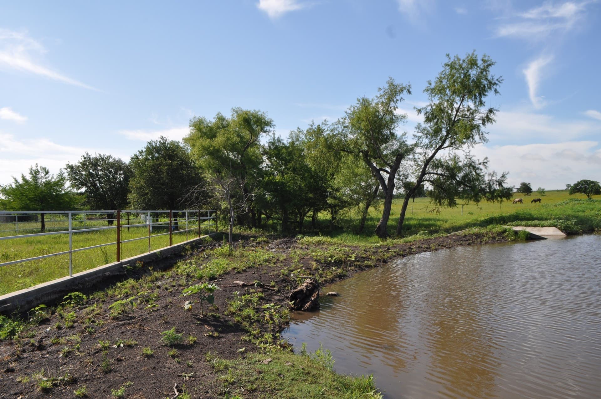 19.41 acres in Ellis County - photo 28