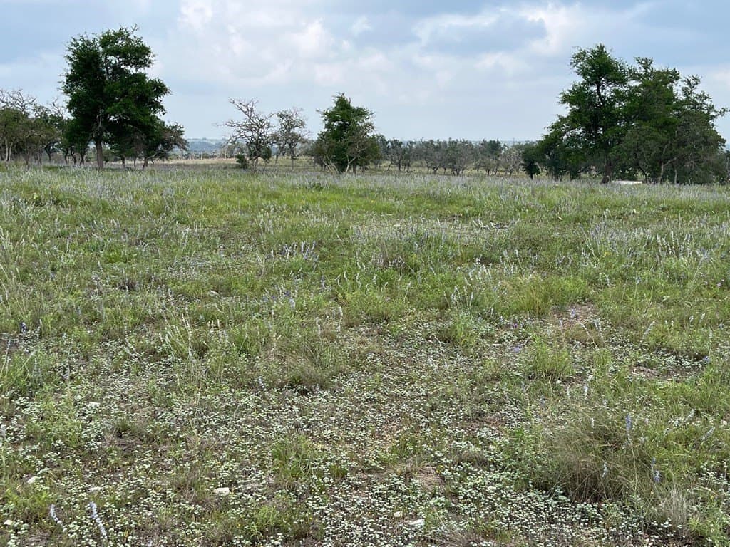 10.26 acres in Gillespie County gallery image 3