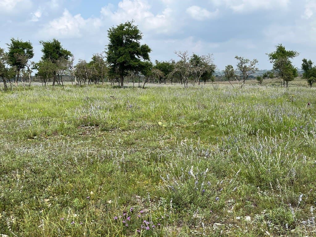 10.26 acres in Gillespie County - photo 7