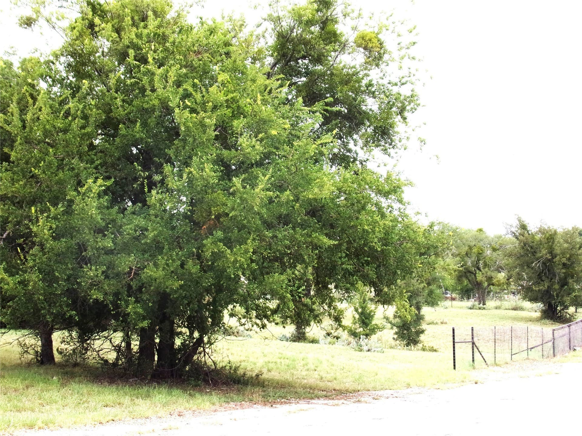 0.54 acres in San Saba County - photo 3