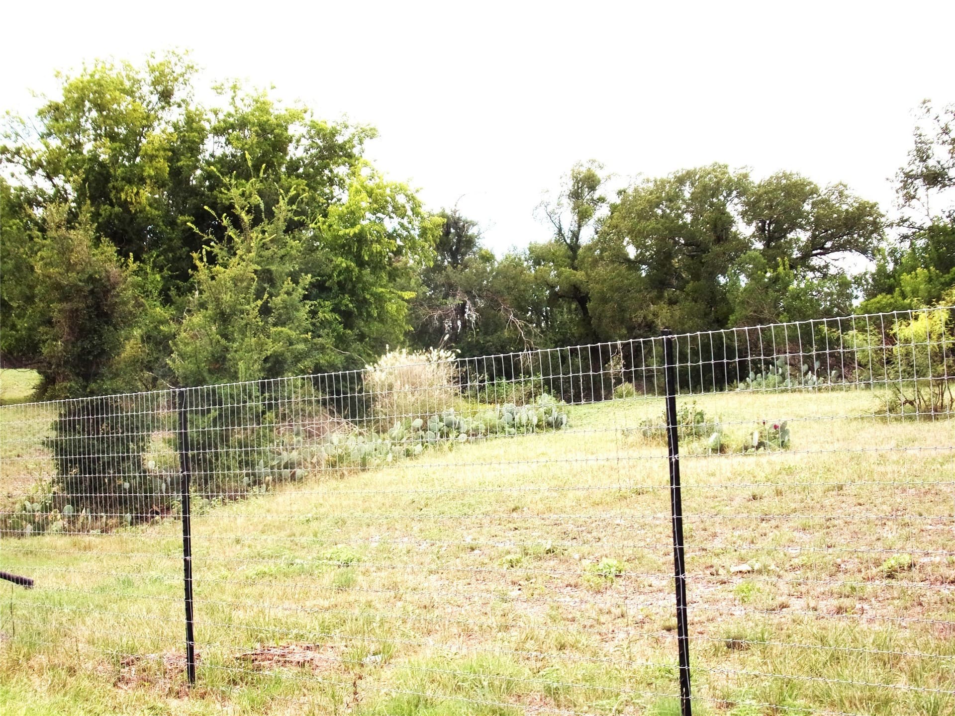 0.54 acres in San Saba County - photo 7