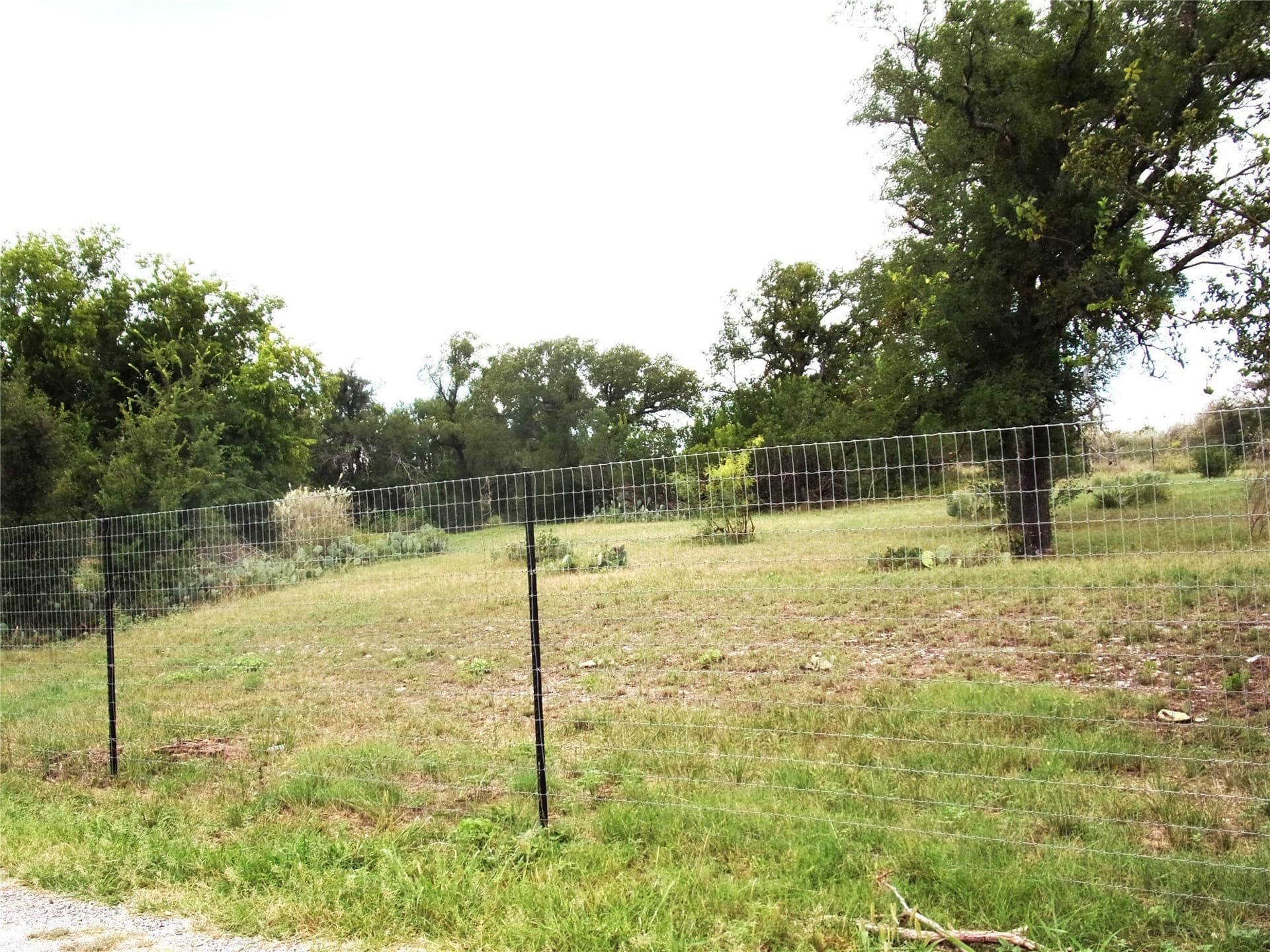 0.54 acres in San Saba County - photo 6