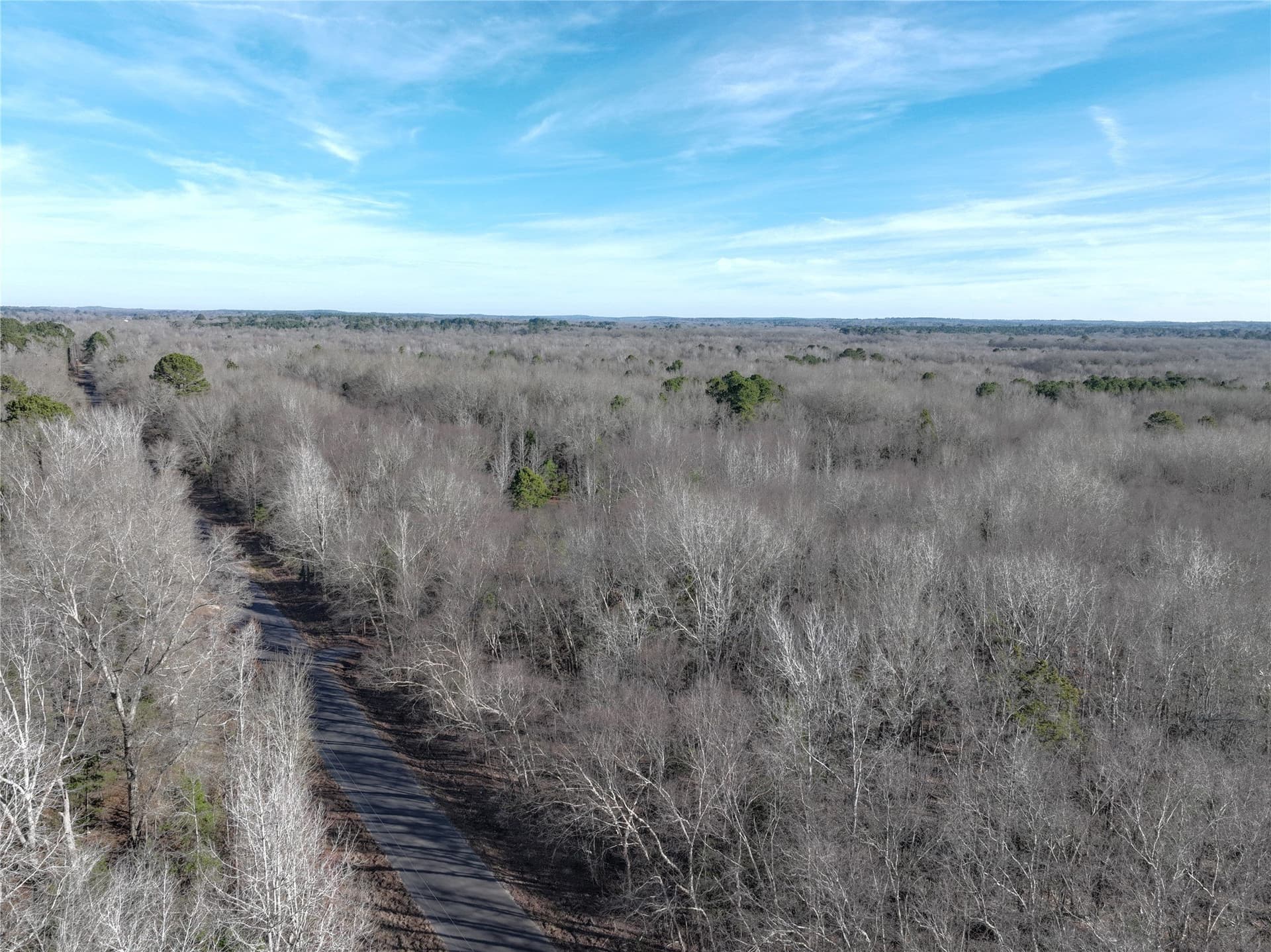 80.87 acres in Wood County - photo 19