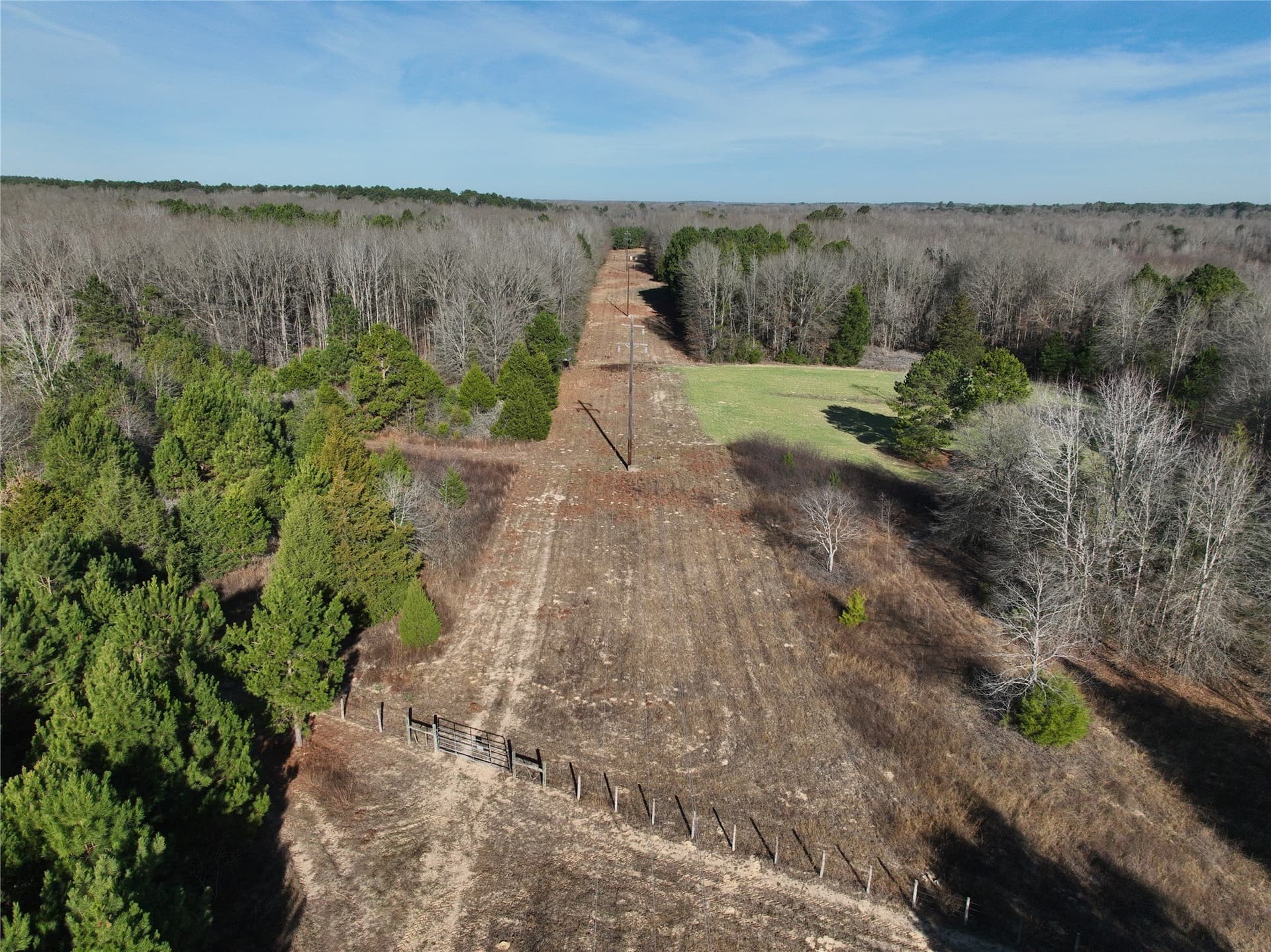 80.87 acres in Wood County - photo 6
