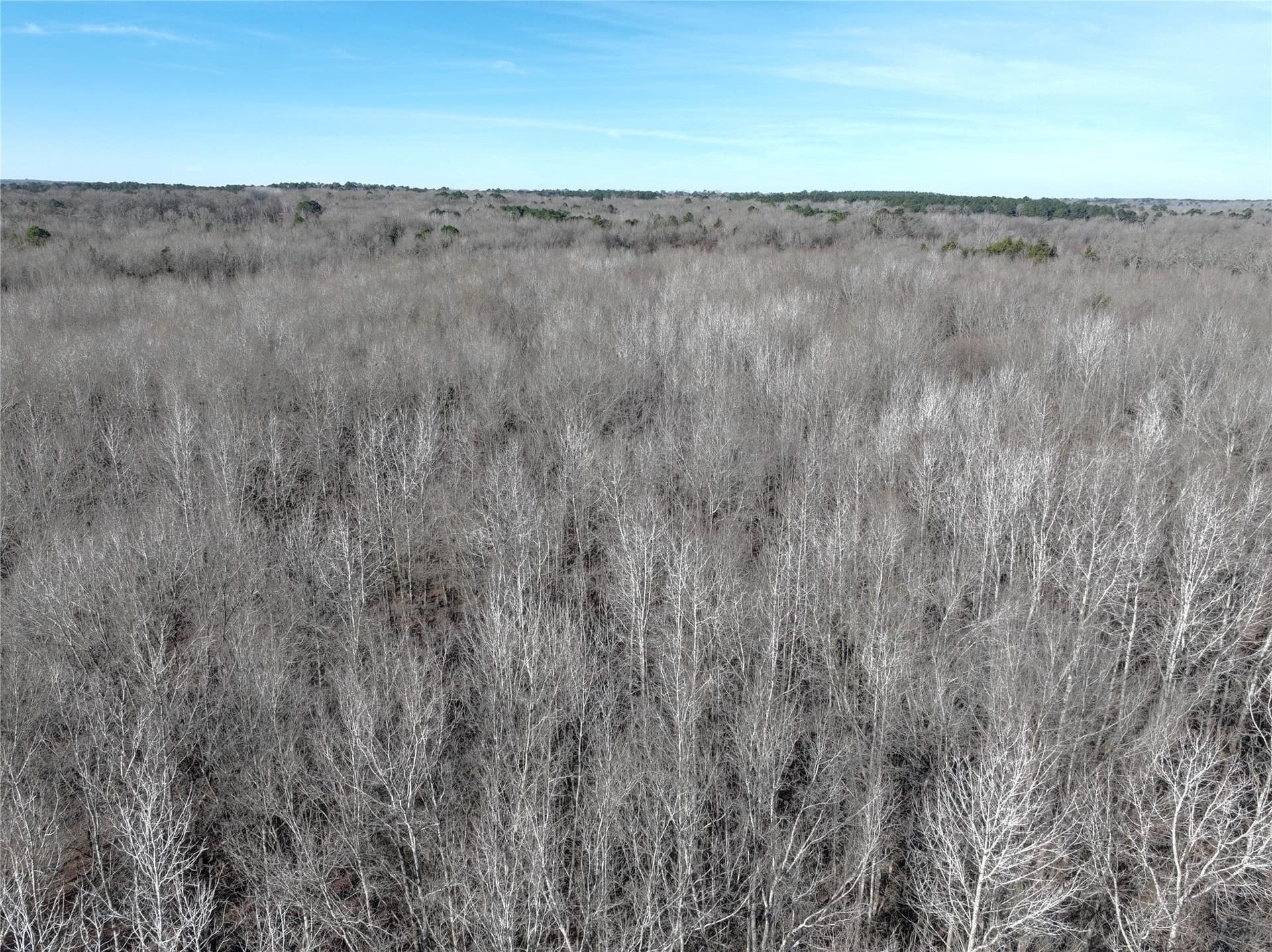 80.87 acres in Wood County - photo 13