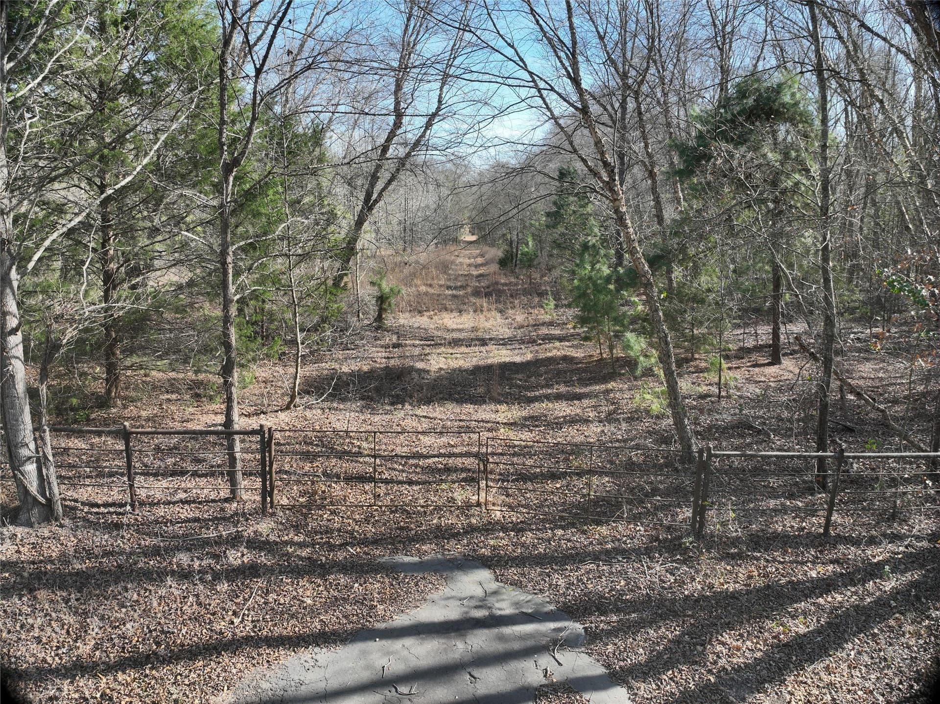 80.87 acres in Wood County - photo 16