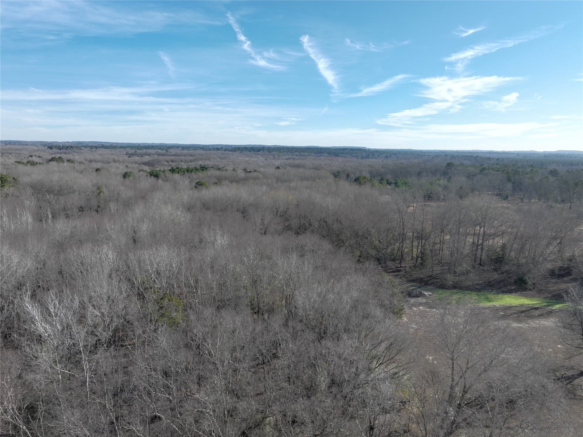 80.87 acres in Wood County - photo 11