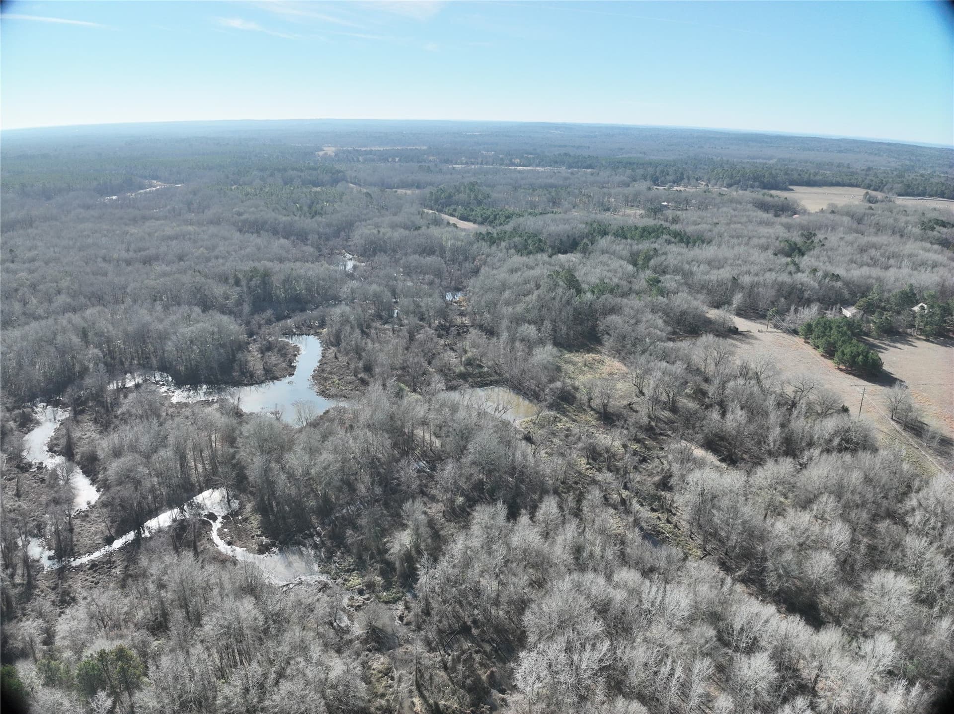 80.87 acres in Wood County - photo 10