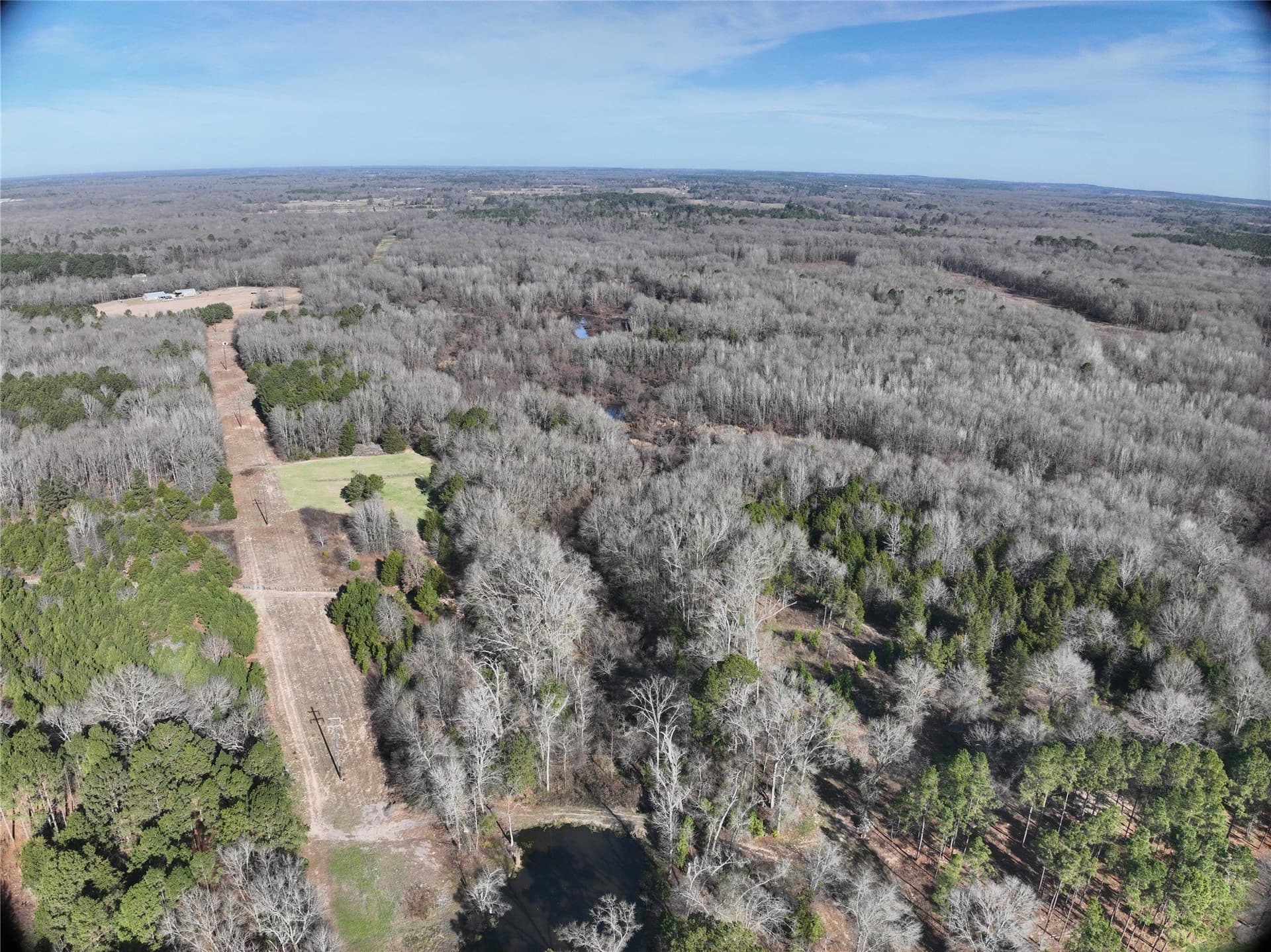 80.87 acres in Wood County - photo 9