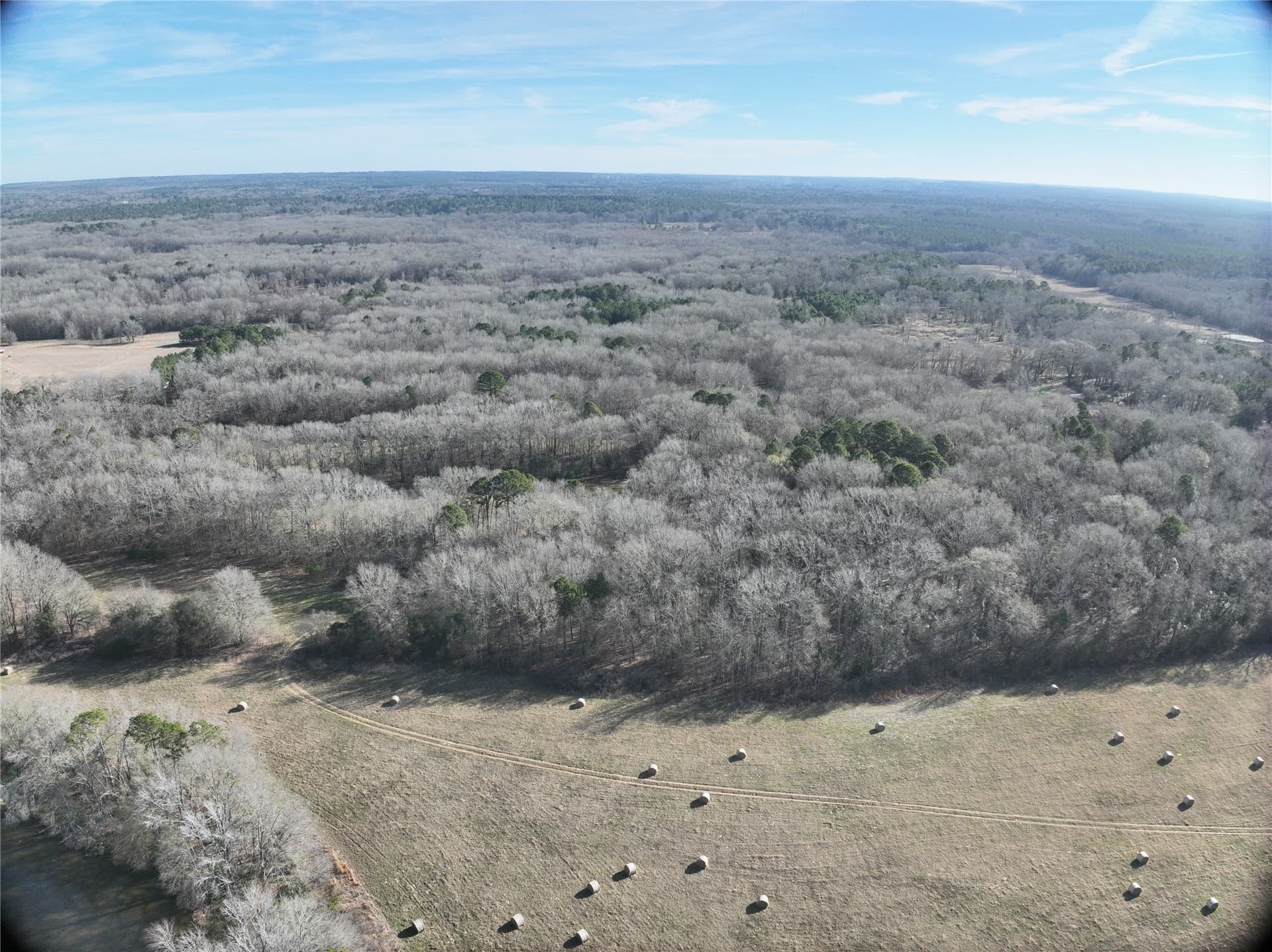 80.87 acres in Wood County - photo 14